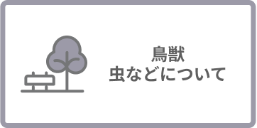 鳥獣・虫などについて